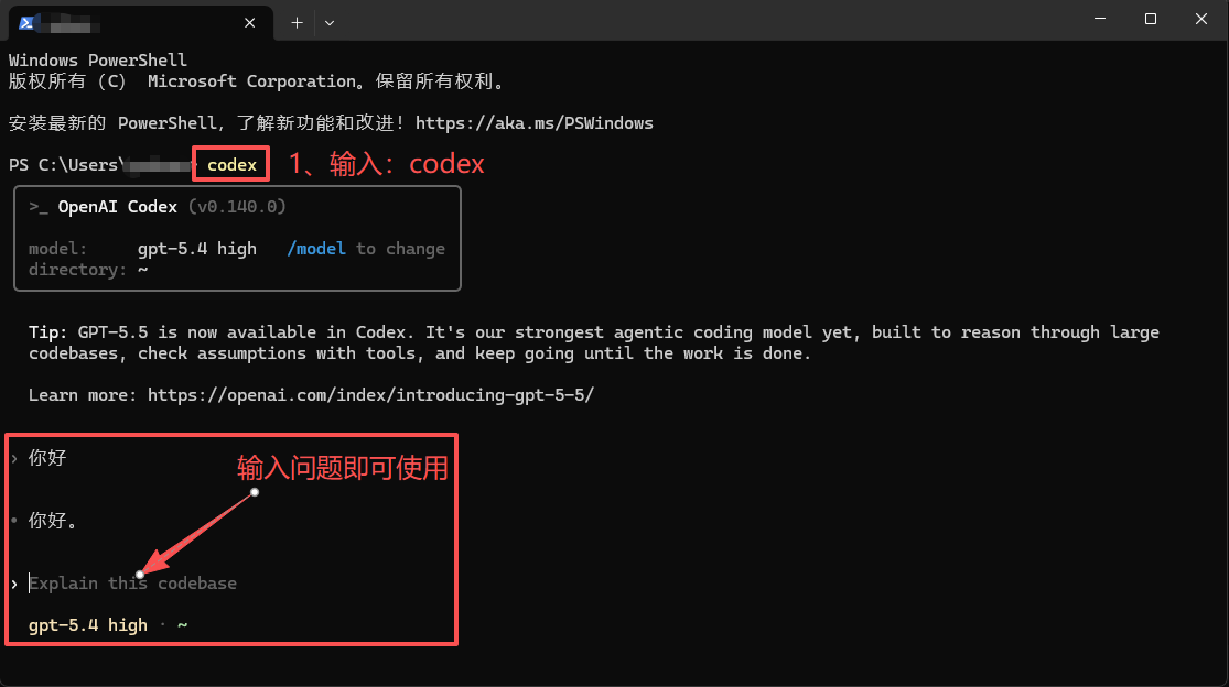 在终端中启动 Codex CLI 并开始使用